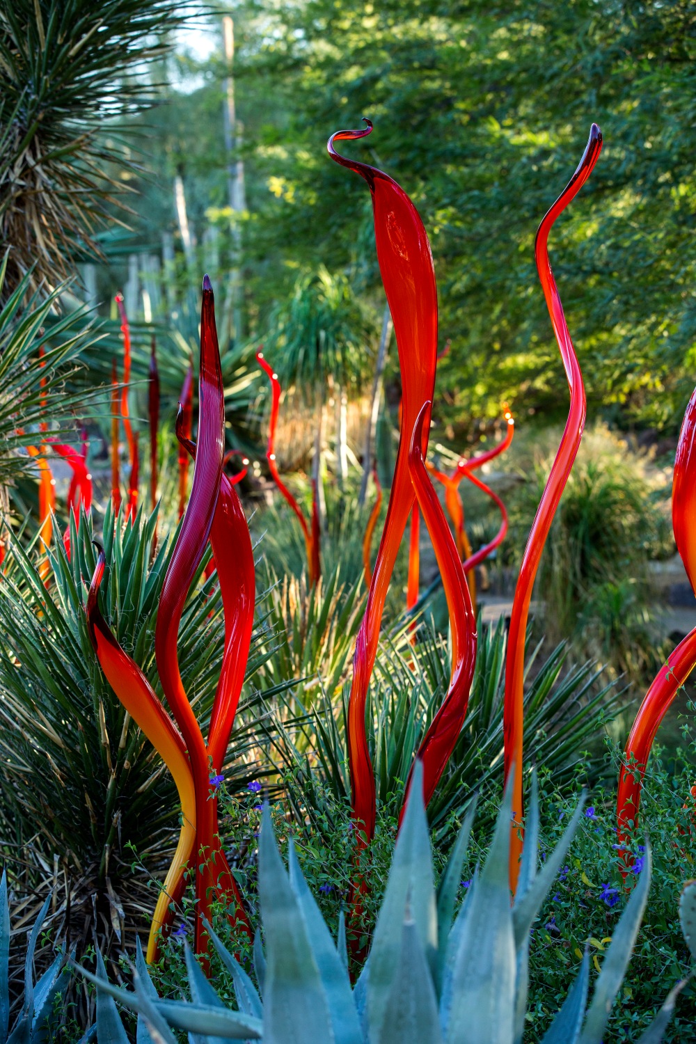 Dale Chihuly, Cattails, 2013