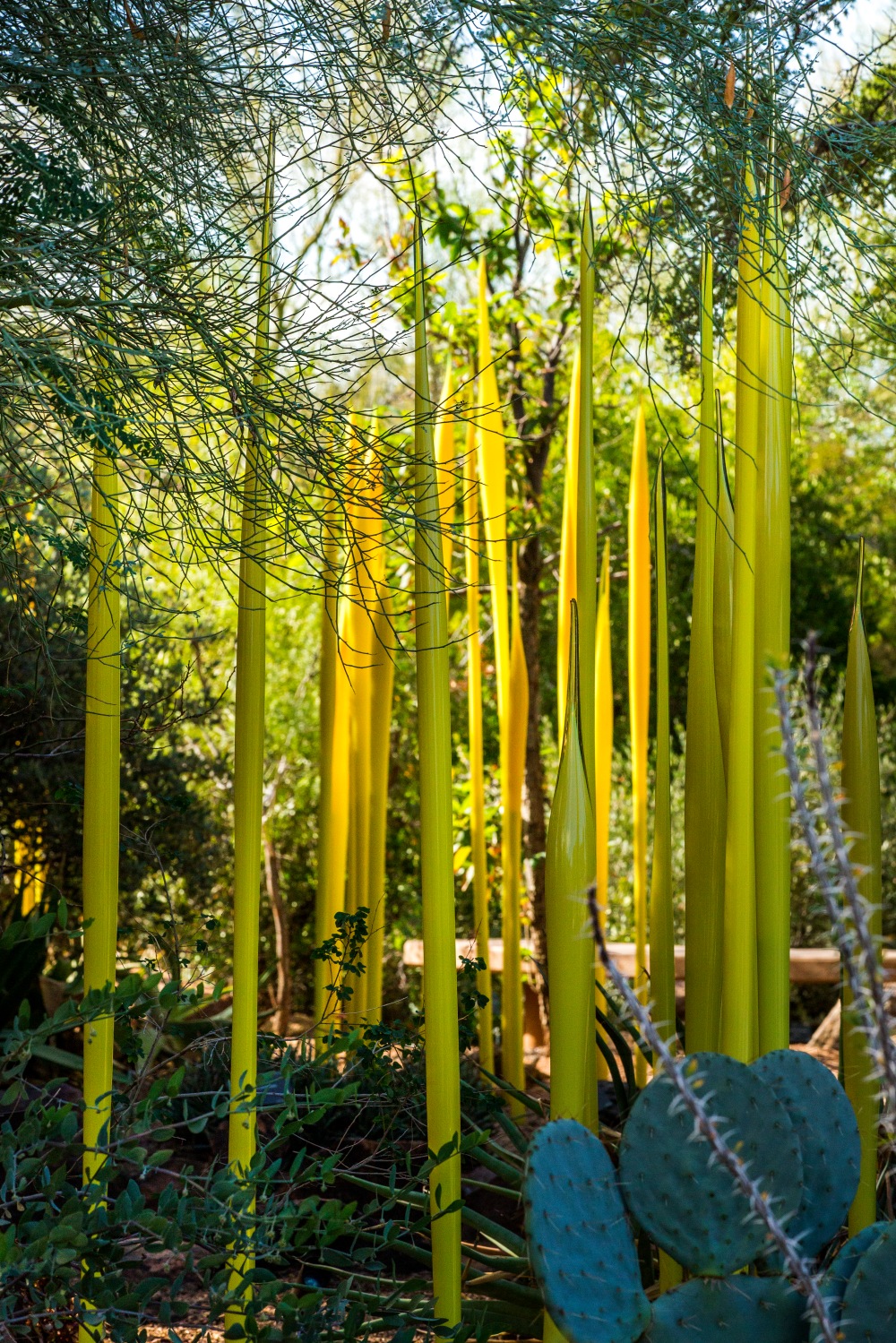 Dale Chihuly, Yellow Reeds, 2013
